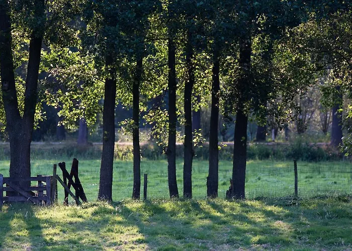 Blier Herne