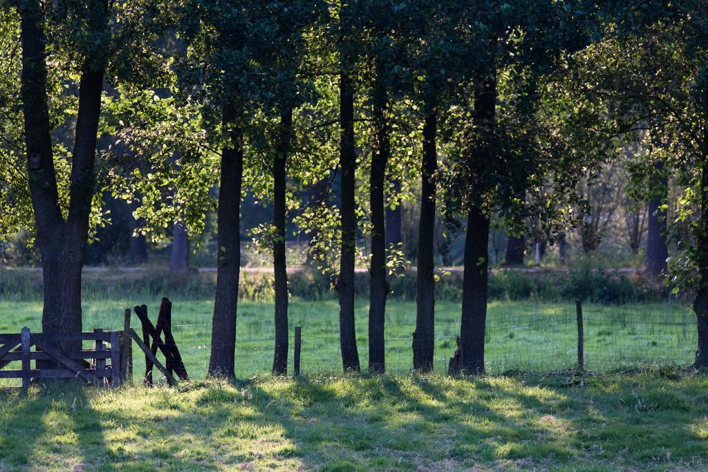Blier Herne Vakantieboerderij