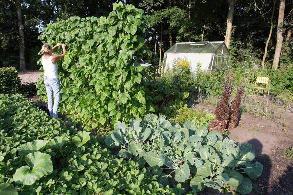 Vakantieboerderij Blier Herne Gorredijk